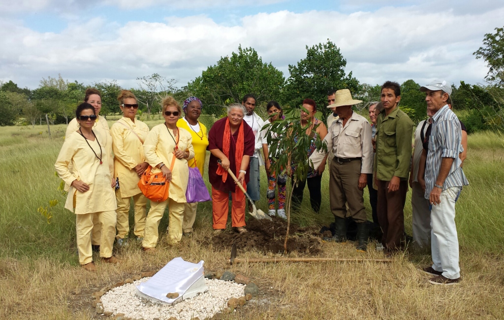 World Peace Tree planted in Cuba 2014